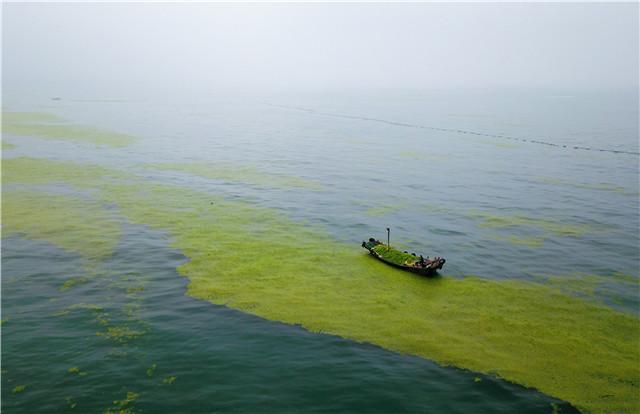 海上打 浒（海上打浒）(5)