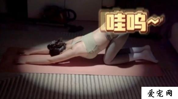 61手游网2