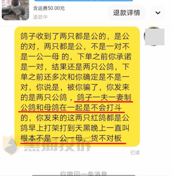 网友网购情侣鸽收到两只公的 闲鱼：缺乏关键证据